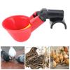 Automatic Drinking Bowl Water Drinker Fluid Cup Farm Tool for Quail Chicken Livestock