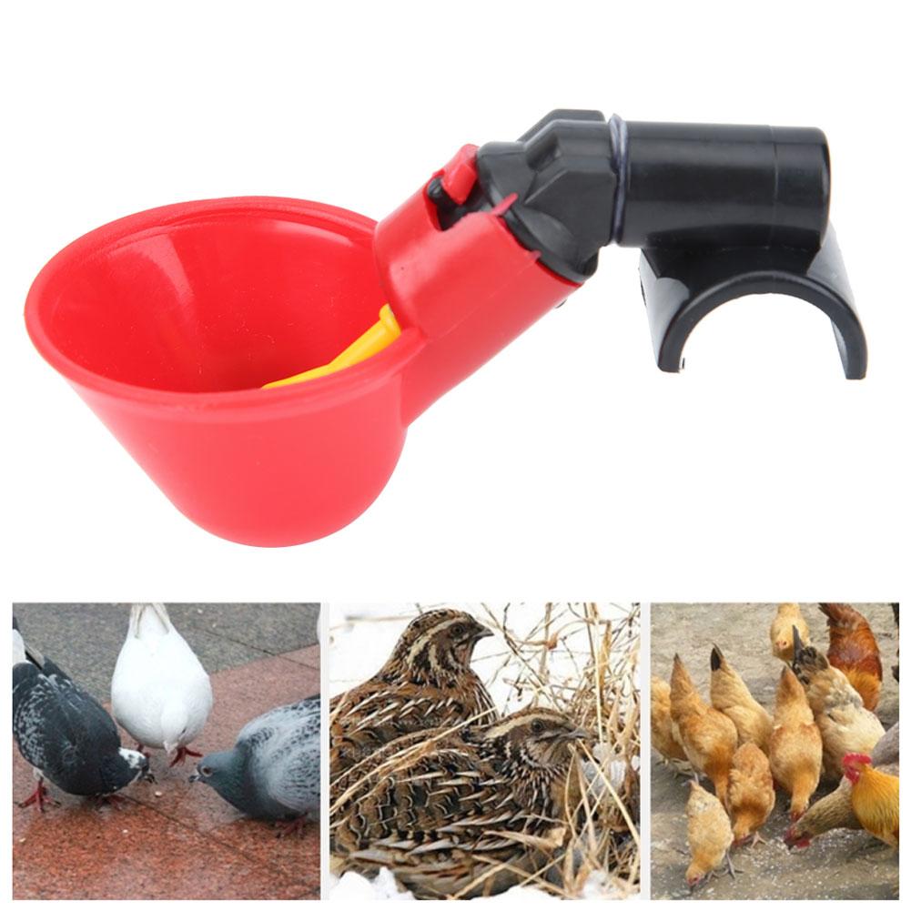 Automatic Drinking Bowl Water Drinker Fluid Cup Farm Tool for Quail Chicken Livestock