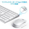 iClever IC-BK22Combo Wireless Keyboard and Mouse Set (Silver White) - Quiet, Ultra-Slim, 2.4G Wireless Keyboard and Mouse Set with USB Connection,