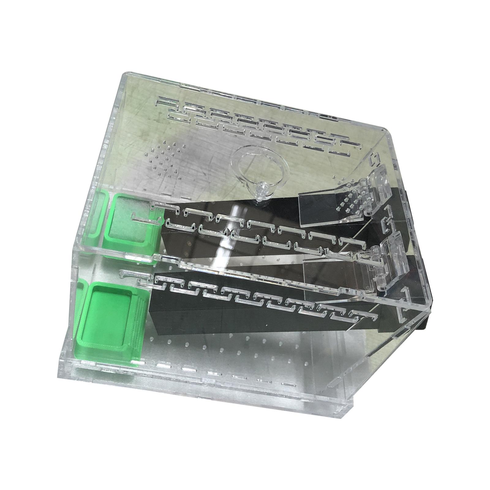 

Прочный акриловый террариум для сверчков с кормушками и вентилируемой конструкцией для наблюдения за насекомыми