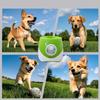 2025 Automatic Tennis Ball Launcher for Dogs - Outdoor Pet Toy