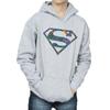 DC Comics Boys Superman Floral Logo 1 Hoodie