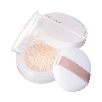 Seamless Cover Powder 01 Foggy Beige 4.5g Face Powder Pore Concealer