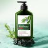 Rosemary Shampoo 500ml Oil Balancing Scalp Refresh Hydrating Hair Wash Dandruff Relief Itch Calm Damage Repair Gentle