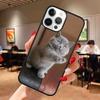 Beautiful Grey British Shorthair Cat Phone Case For iPhone 17 Air 13 12 14 15 16  Cover For Apple Pro Max Plus