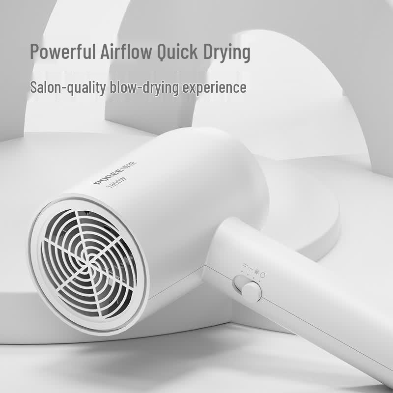Borui 1800W Household Hair Dryer PH1621