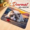 Cat Pattern Bathroom Carpet Non-slip Bedroom Door Rug Cute Optical Illusion Doormat  Home Decor
