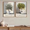 Retro Elegante Olivenbaum und Zitrone Leinwand Poster Vase Wandkunst Poster Perfektes Geschenk für Wohnzimmer Schlafzimmer Studentenwohnheim Heimdekoration