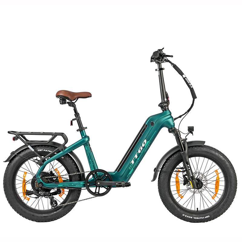 TTGO F8 City Hight-End Electric Bicycle 48V18Ah Battery 20 Inch Fat Tires 250W Motor 25 km/h Speed 150KG Load Outdoor Riding E-Bike