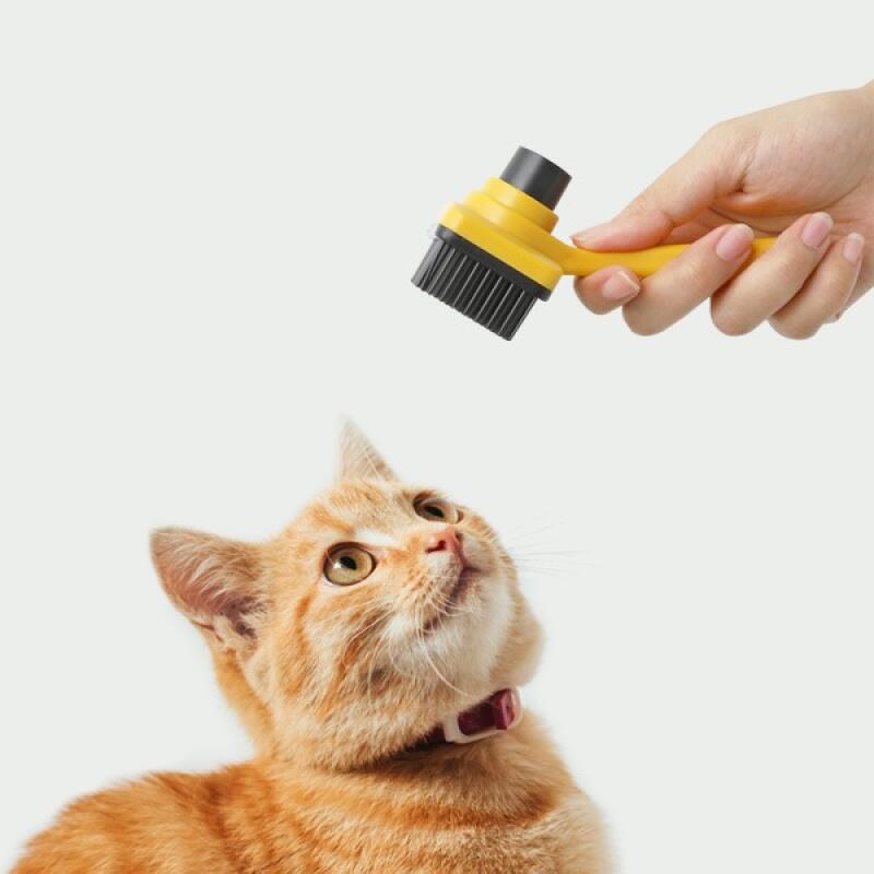 

Pet Hair Care One-Touch Hair Removal Grooming Pet Brush