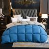 4lbs Quilted Comforter Reversible Fluffy Warm Bed Quilt For Autumn Winter Bedroom Bedding