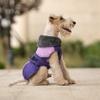 Winter Warm Pet Coat Small Medium Dogs Thickened Hooded Collar Cotton Jacket