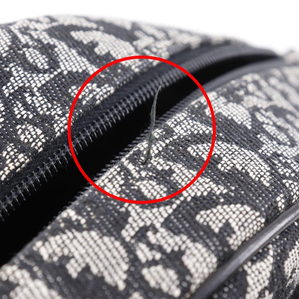 Dior Double saddle bag Handbag Trotter Navy blue canvas Women Used