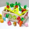 Sorter Montessori Carrello in Legno Verdura Insetti Tirare Giocattolo Educativo 3+