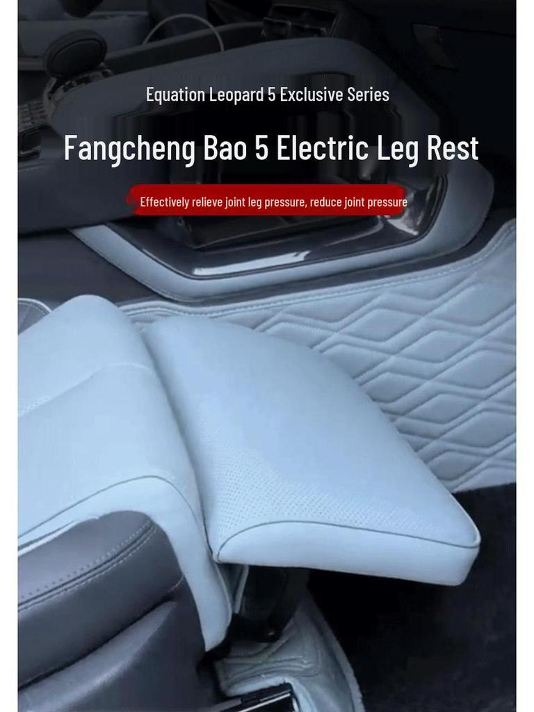Equation Leopard 5/8 Electric Leg Rest Co-Pilot Seat Foot Accessories for Queen Titanium 3 Modification