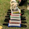 Durablity and Tear Resistant Dogs Training Chew Toy for Indoor Outdoor Play