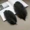Black Ostrich Hair 15-60cm Feather DIY Stage Decoration Flower Arrangement Wedding Ostrich Hair Accessories