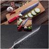 8.5 Inch Damascus Chef Knife Japanese Damascus Stainless Vg10 Steel Kitchen Kiritsuke Knife Cooking