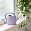 1L/2L Watering Can for Indoor Plant Long Spout Watering Can Indoor Watering Can for House Plant Flowers Succulents