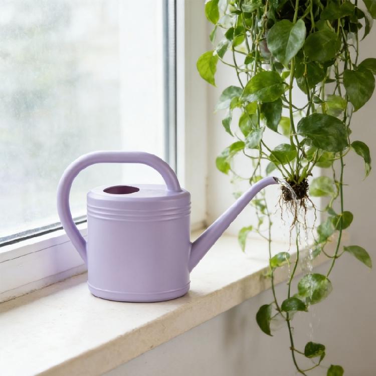 1L/2L Watering Can for Indoor Plant Long Spout Watering Can Indoor Watering Can for House Plant Flowers Succulents