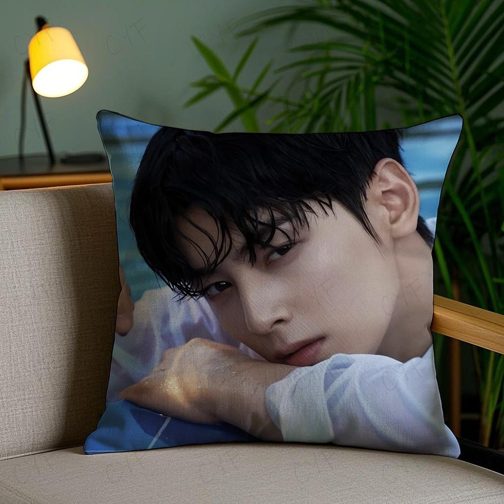 Kpop Styl Zpěvák Cha E-Eun W-Woo Povlak na polštář Povlak na polštář proti roztočům Neviditelný zip Hedvábný krátký plyš Potah na polštář na pohovku