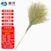Outdoor Bamboo Broom