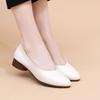 Popular Shoes 2025 New Women's Shoes Soft Leather Shallow Mouth Breathable Pointed Single Shoes Spring and Autumn Soft Sole Comfortable Mother L