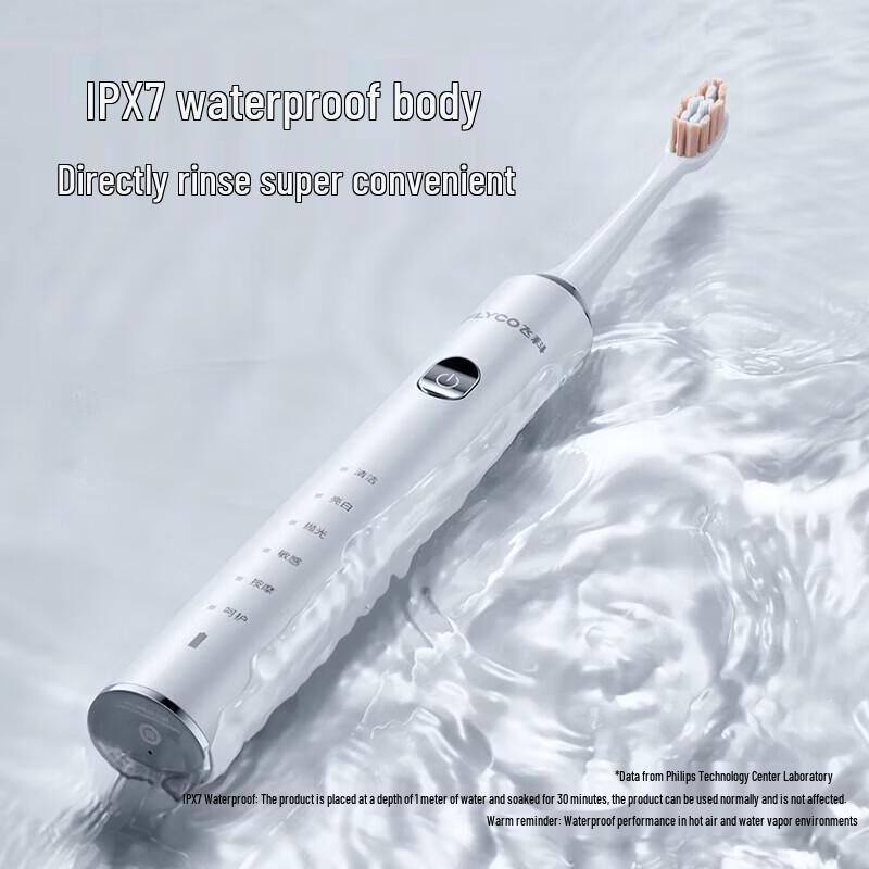 Flyco FT7205 Smart Sonic Electric Toothbrush CN Plug (adapter Included)