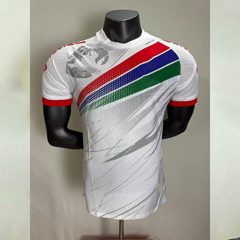 Gambia Home 26-Player Edition World Cup Football Jersey