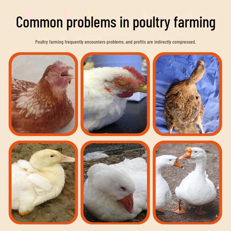 Drób Jedna Kropla: Kurczak, Kaczka, Gęś, Gołąb Rozwiązanie dla Hodowli 100ml