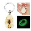 Key Holder Scorpion Amber Pendant Noctilucent Handbag Wallet Pendant Creative Scorpion Keychain Car Keyring Auto Accessories