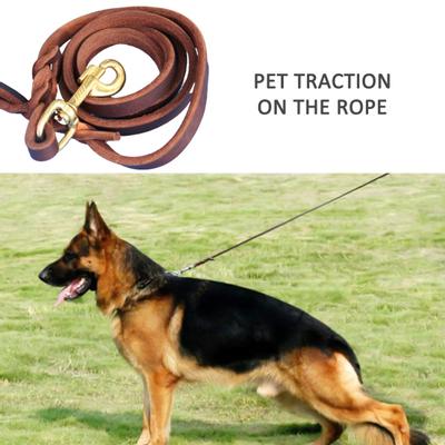 Correa de imitación para perro trenzada, regalo, pastor alemán de cuero para entrenamiento, suministro para mascotas