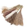 Boho Dried Flowers Bouquet Pampas Grass Dried Bunny Tail Grass Reed Grass Kit for Flower Arrangement Type 1