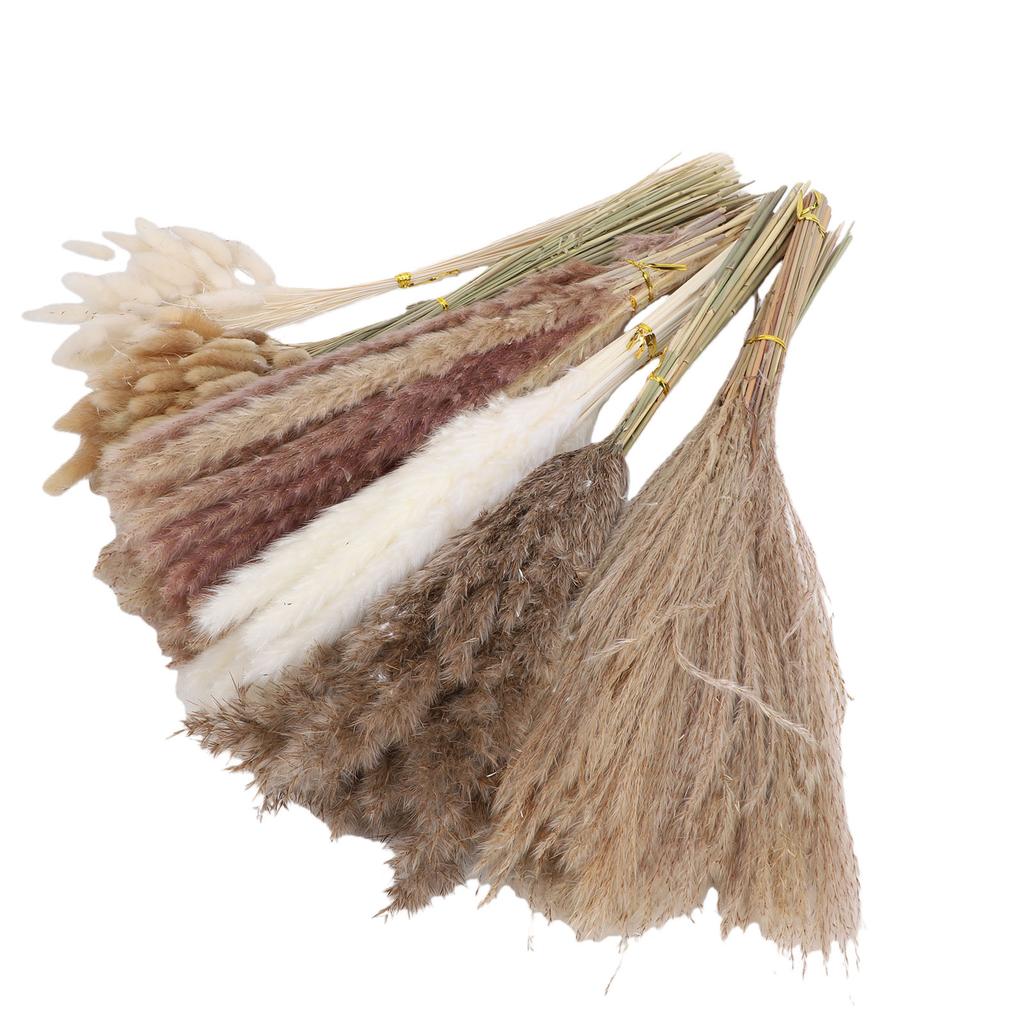 Boho Dried Flowers Bouquet Pampas Grass Dried Bunny Tail Grass Reed Grass Kit for Flower Arrangement Type 1