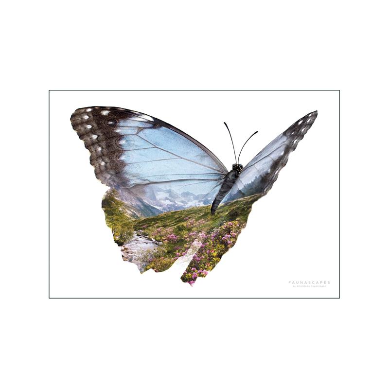 Pop bunte Tiere Fisch Poster ästhetische Fischarten Illustration Skizze Leinwanddruck für Wand Kunst Home Dekoration Raum Dekor