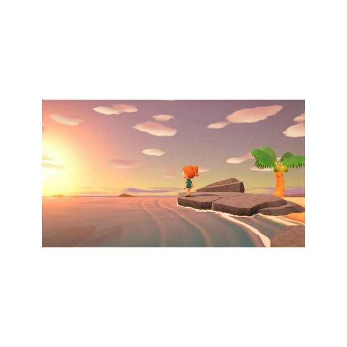 ANIMAL CROSSING NEW HORIZON
