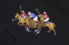 Polo Ralph Lauren Match Pony Embroidered Pullover Sweatshirt Size Black Men's Hoodie, XL, (Product Code 01020061)