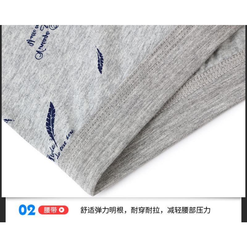 Printed Cotton Mens 3d Boxer Briefs