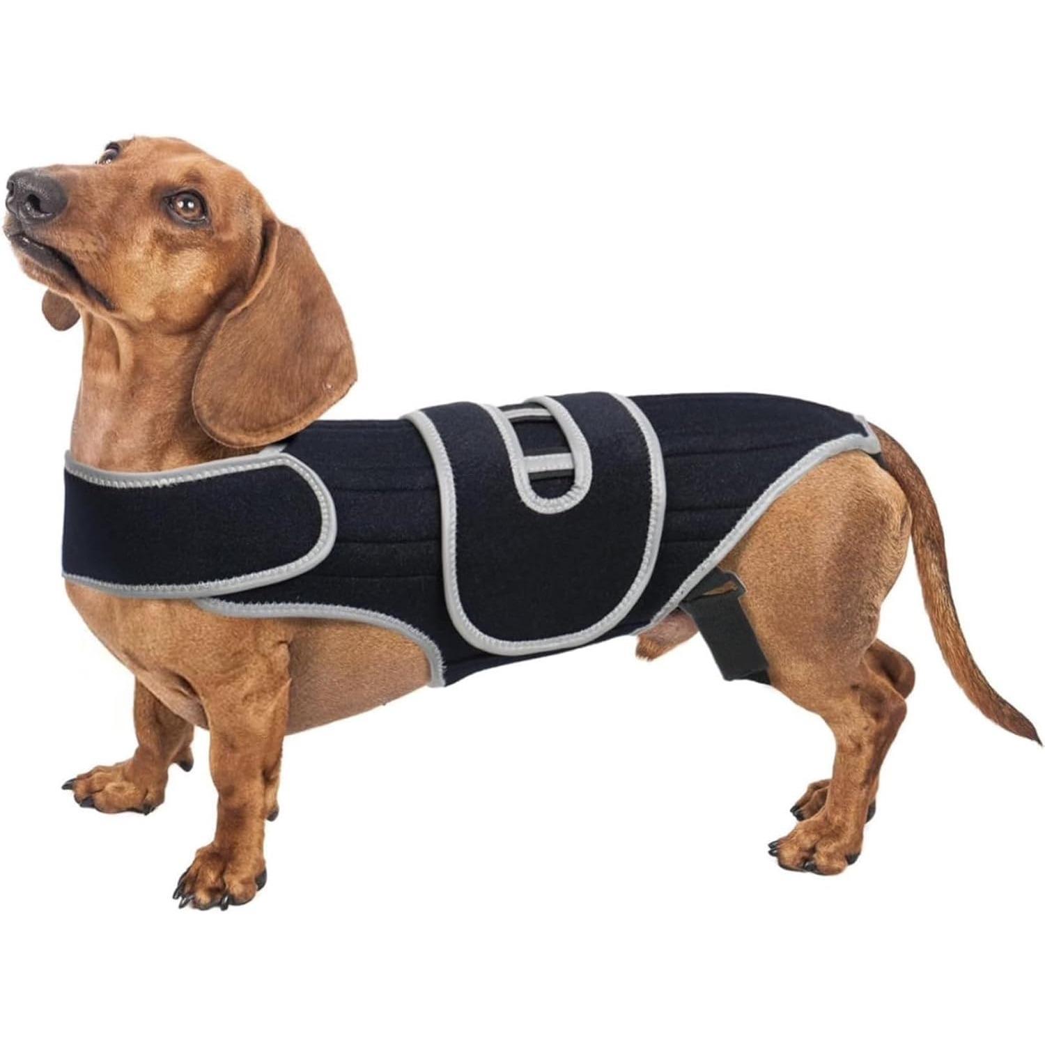 Dog Back Brace for Spinal Surgery