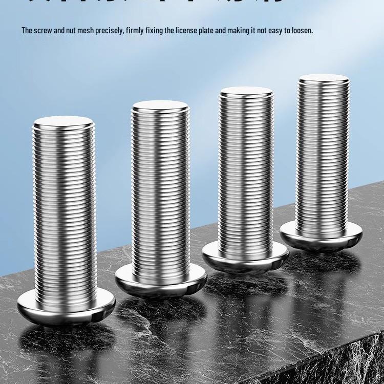 Universal Anti-theft Stainless Steel License Plate Screws and Fixing Nuts