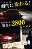 Bubu-Material S25 LED Back Lamp, Super Bright, Explosive, , Non-Polarized, 2 Bulbs, 2800 Lumens, White