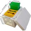 Queen bee breeding Box bee apidea mating nuc hive Queen Rearing nucs Mini bee Hives Beekeeping mating hive Box