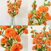 Colorful Pipe Cleaners, Bright Colors Chenille Stems for Crafts, DIY Flowers Twistable Pipe Cleaners, Creative Projects for Kids And Adults