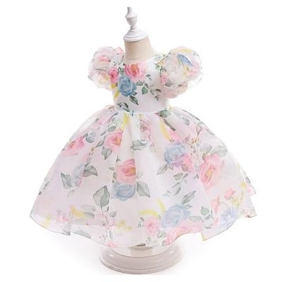 Robes d'été pour filles, Robes de princesse à manches bouffantes style européen et américain, Robes florales pour enfants, Jupes tutu en maille