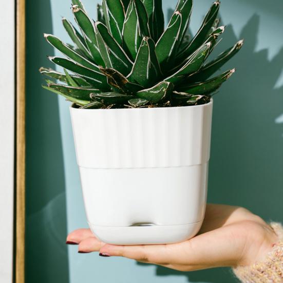 Vendita Vaso in ceramica Harmony sand-Vasi|Vivaio Mondo Piante