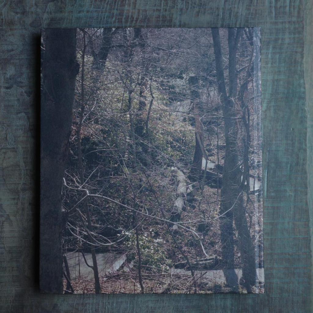 [UŻYWANY] NA POWIETRZU Irina Rozovsky Artbook