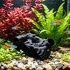 Pești și animale marine – Decorul acvariului