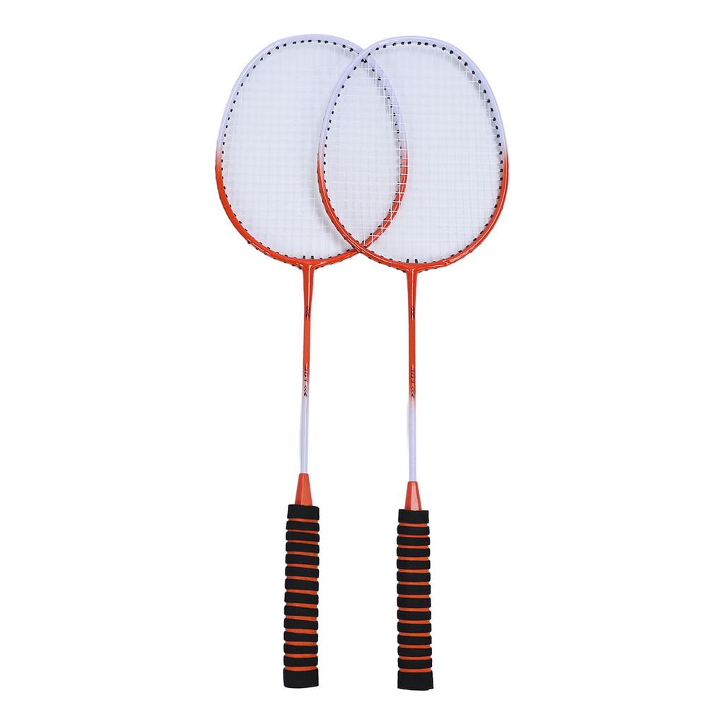 Badminton Set Professional Alloy Badminton Racket with 3 Shuttlecocks Carrying Bag for Beginner