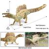 Cognitive Dinosaur Model Toy: Ankylosaurus & Pachycephalosaurus Gift for Boys