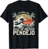 It's Still The Gulf Of Mexico Pendejo Beach Funny Spanish T-Shirt , Unisex Tee